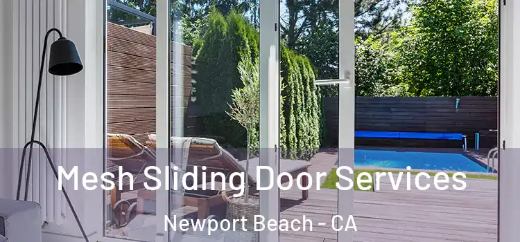 Mesh Sliding Door Services Newport Beach - CA